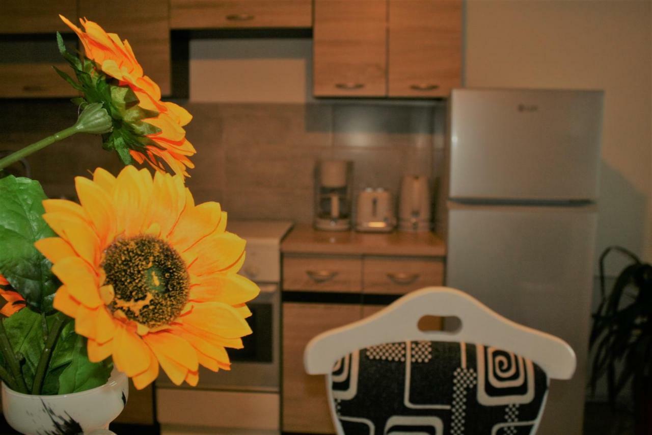 Casa Peterfi - Apartment With 3 Bedrooms And Spacious Living Room Târgu-Mureş Exteriör bild